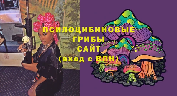 винт Богданович